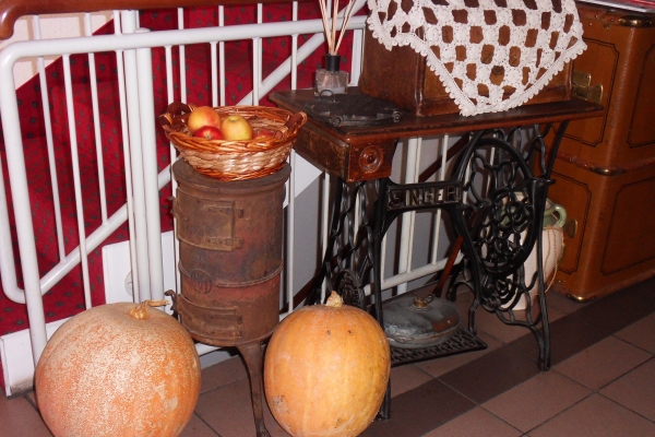 Hotel Papilio